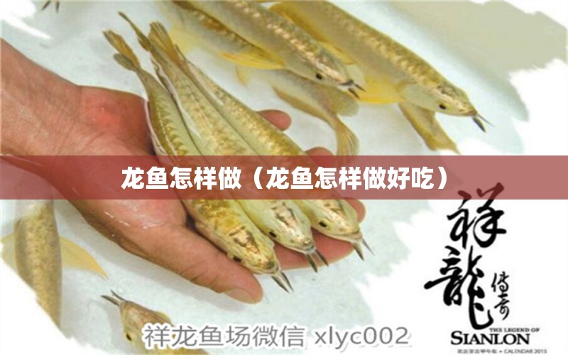 龍魚怎樣做（龍魚怎樣做好吃）