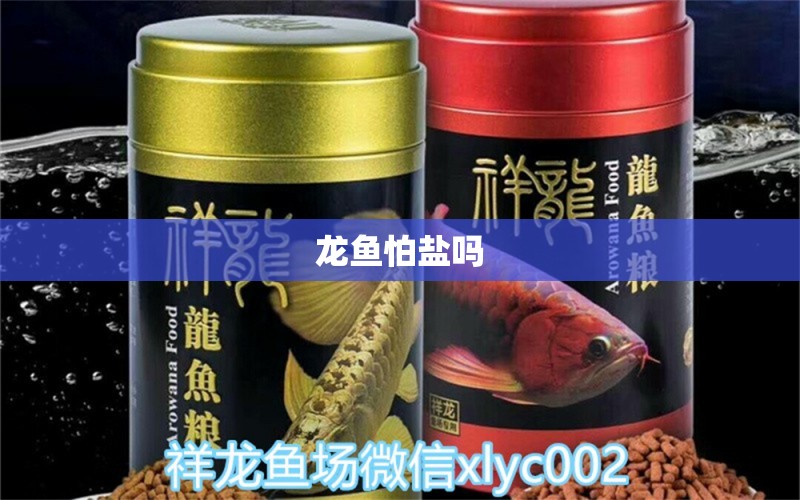 龍魚怕鹽嗎