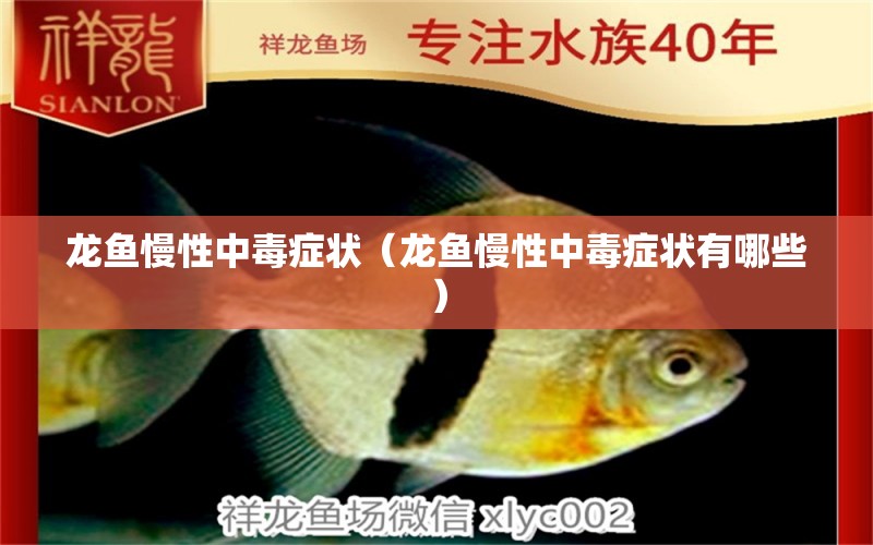 龍魚慢性中毒癥狀（龍魚慢性中毒癥狀有哪些）