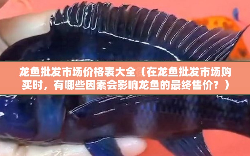 龍魚批發(fā)市場價格表大全（在龍魚批發(fā)市場購買時，有哪些因素會影響龍魚的最終售價？） 水族問答 第1張