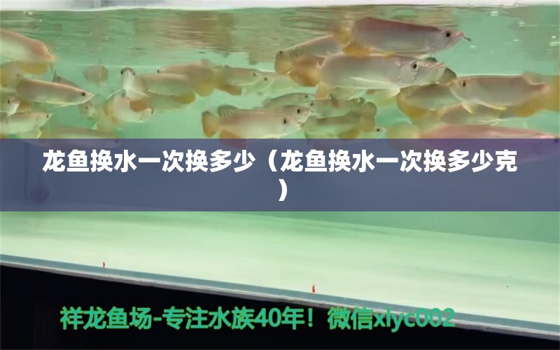 龍魚換水一次換多少（龍魚換水一次換多少克）