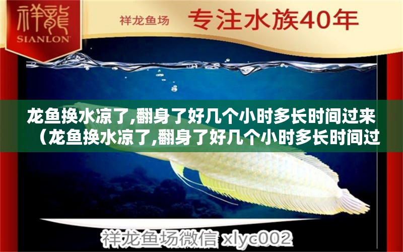 龍魚換水涼了,翻身了好幾個(gè)小時(shí)多長(zhǎng)時(shí)間過來（龍魚換水涼了,翻身了好幾個(gè)小時(shí)多長(zhǎng)時(shí)間過來正常）