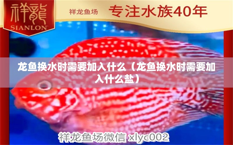 龍魚換水時(shí)需要加入什么（龍魚換水時(shí)需要加入什么鹽）