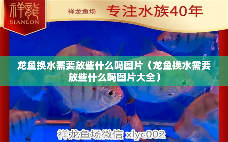 龍魚換水需要放些什么嗎圖片（龍魚換水需要放些什么嗎圖片大全） 廣州龍魚批發(fā)市場