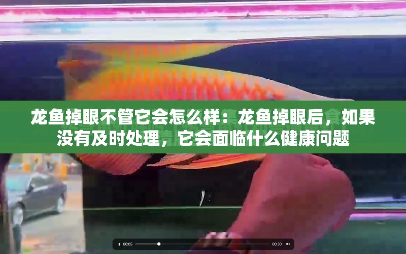 龍魚掉眼不管它會怎么樣：龍魚掉眼后，如果沒有及時處理，它會面臨什么健康問題 水族問答 第2張