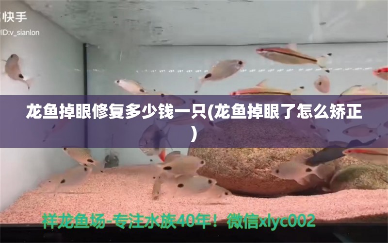 龍魚掉眼修復多少錢一只(龍魚掉眼了怎么矯正) 水溫計