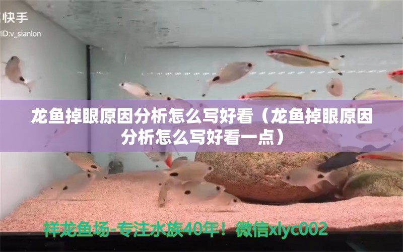 龍魚掉眼原因分析怎么寫好看（龍魚掉眼原因分析怎么寫好看一點(diǎn)）