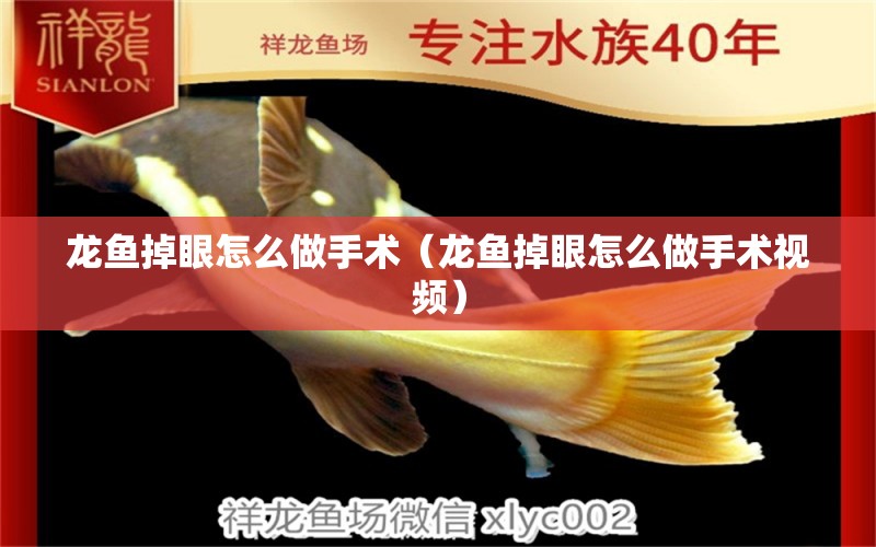 龍魚掉眼怎么做手術(shù)（龍魚掉眼怎么做手術(shù)視頻）