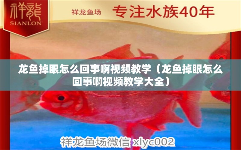 龍魚掉眼怎么回事啊視頻教學(xué)（龍魚掉眼怎么回事啊視頻教學(xué)大全） 龍魚疾病與治療