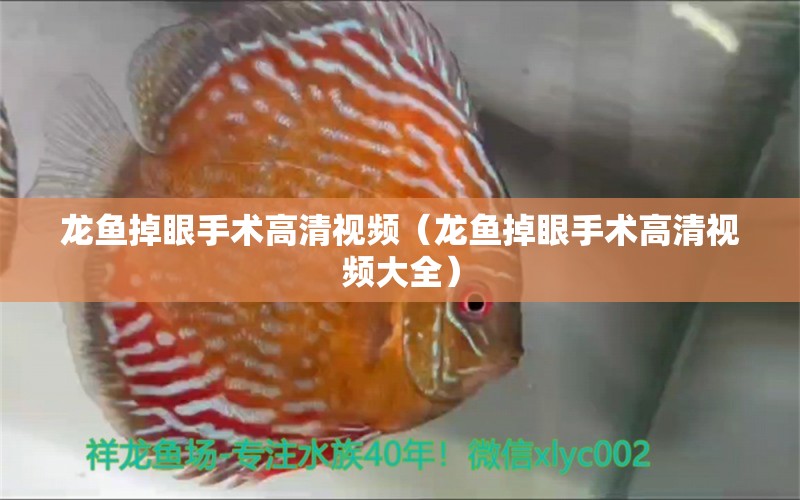 龍魚掉眼手術(shù)高清視頻（龍魚掉眼手術(shù)高清視頻大全）