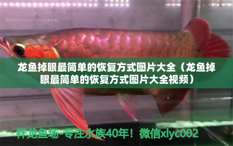 龍魚掉眼最簡單的恢復(fù)方式圖片大全（龍魚掉眼最簡單的恢復(fù)方式圖片大全視頻）