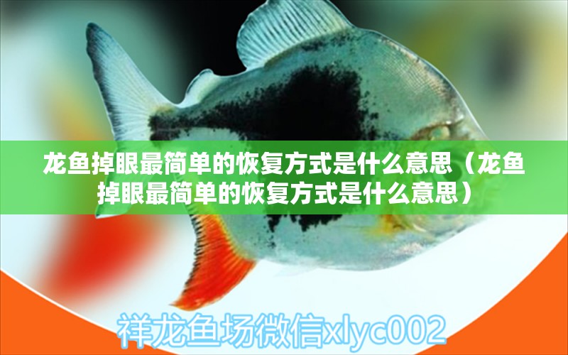 龍魚掉眼最簡(jiǎn)單的恢復(fù)方式是什么意思（龍魚掉眼最簡(jiǎn)單的恢復(fù)方式是什么意思）