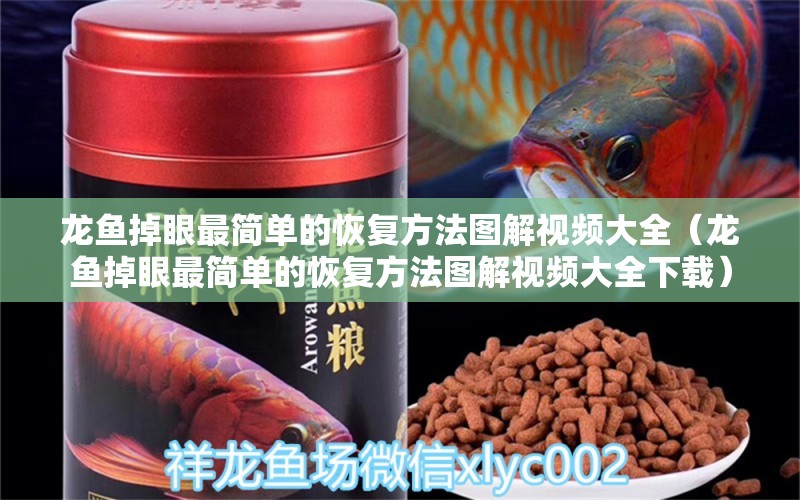 龍魚掉眼最簡單的恢復(fù)方法圖解視頻大全（龍魚掉眼最簡單的恢復(fù)方法圖解視頻大全下載）