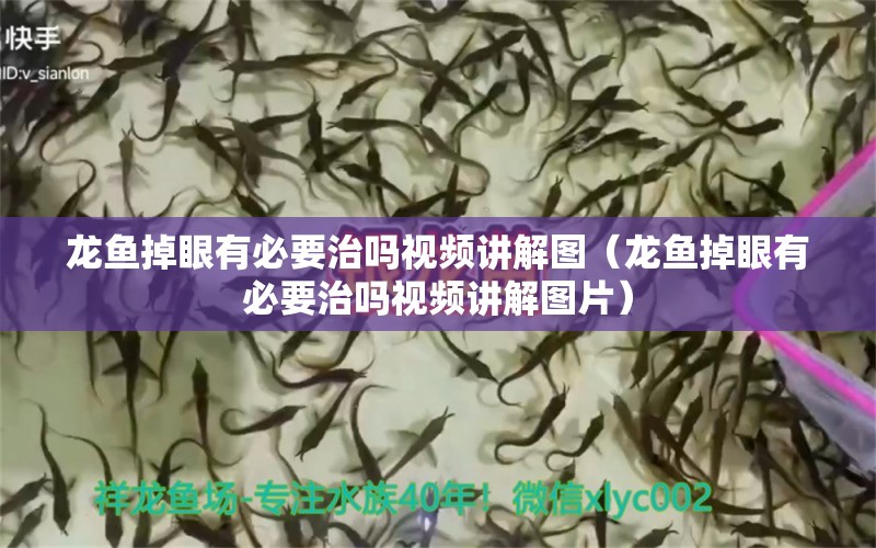 龍魚掉眼有必要治嗎視頻講解圖（龍魚掉眼有必要治嗎視頻講解圖片）