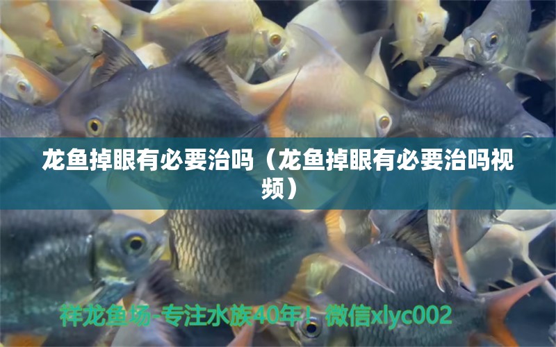 龍魚(yú)掉眼有必要治嗎（龍魚(yú)掉眼有必要治嗎視頻）