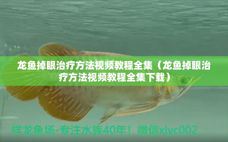 龍魚掉眼治療方法視頻教程全集（龍魚掉眼治療方法視頻教程全集下載）