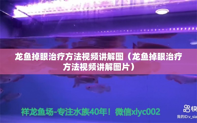 龍魚掉眼治療方法視頻講解圖（龍魚掉眼治療方法視頻講解圖片）