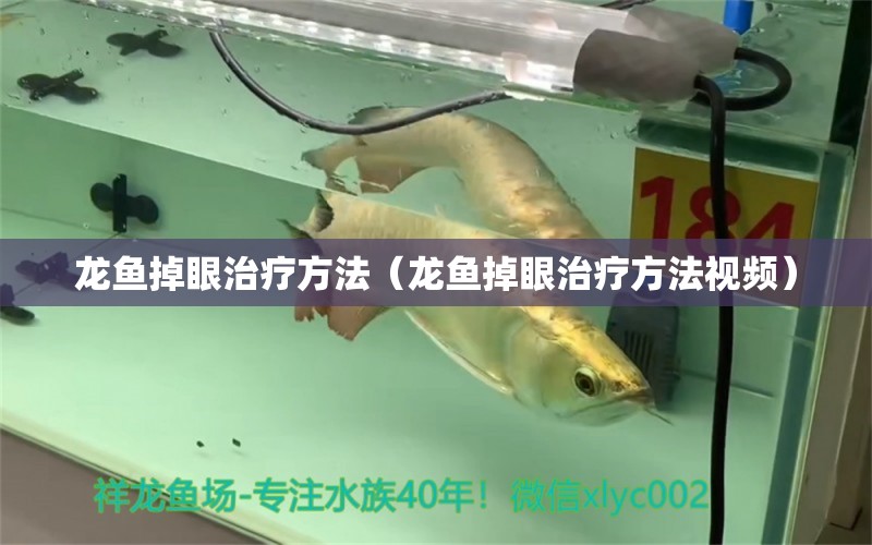 龍魚掉眼治療方法（龍魚掉眼治療方法視頻）