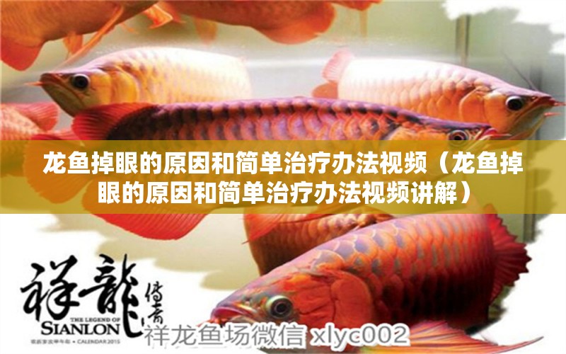 龍魚掉眼的原因和簡單治療辦法視頻（龍魚掉眼的原因和簡單治療辦法視頻講解）