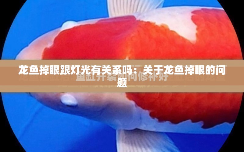 龍魚掉眼跟燈光有關(guān)系嗎：關(guān)于龍魚掉眼的問題 水族問答 第2張