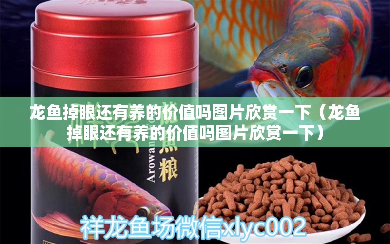 龍魚掉眼還有養(yǎng)的價值嗎圖片欣賞一下（龍魚掉眼還有養(yǎng)的價值嗎圖片欣賞一下） 龍魚疾病與治療