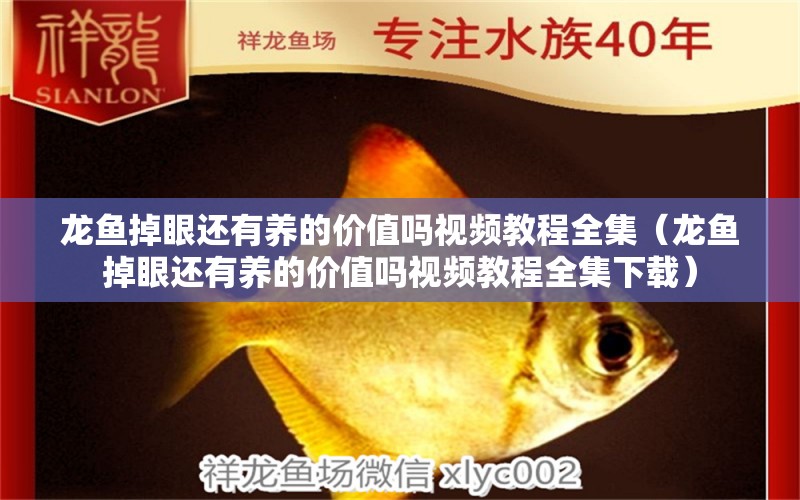 龍魚掉眼還有養(yǎng)的價值嗎視頻教程全集（龍魚掉眼還有養(yǎng)的價值嗎視頻教程全集下載）