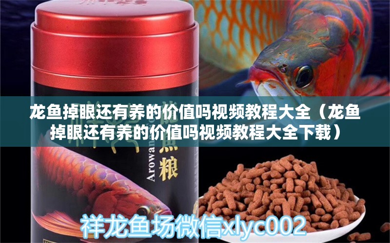 龍魚掉眼還有養(yǎng)的價值嗎視頻教程大全（龍魚掉眼還有養(yǎng)的價值嗎視頻教程大全下載） 龍魚疾病與治療