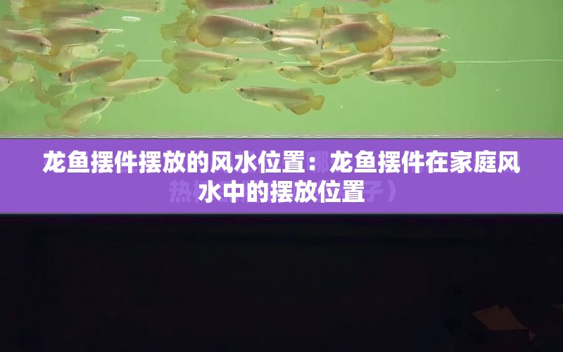 龍魚擺件擺放的風水位置：龍魚擺件在家庭風水中的擺放位置 水族問答 第1張