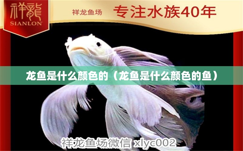 龍魚(yú)是什么顏色的（龍魚(yú)是什么顏色的魚(yú)） 名貴錦鯉魚(yú)