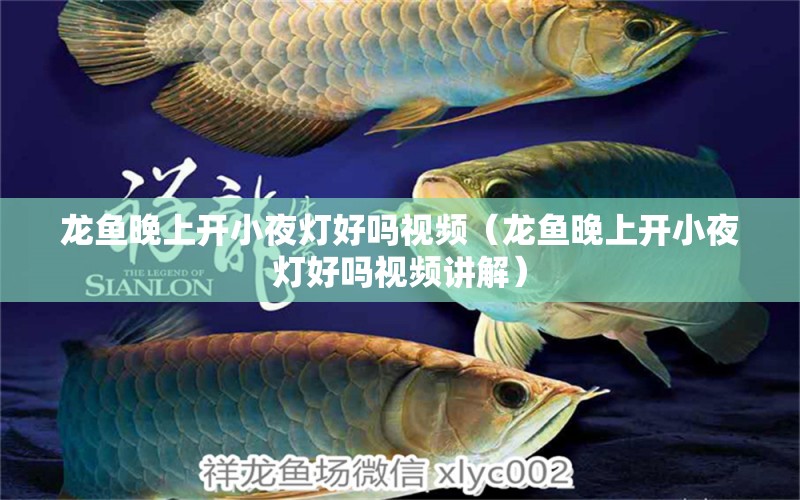 龍魚晚上開小夜燈好嗎視頻（龍魚晚上開小夜燈好嗎視頻講解） 廣州龍魚批發(fā)市場