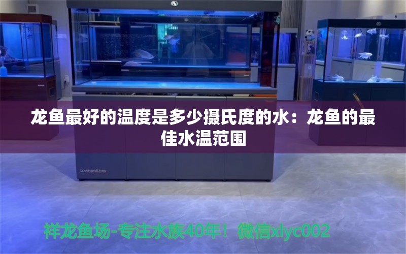 龍魚最好的溫度是多少攝氏度的水：龍魚的最佳水溫范圍 龍魚百科 第2張