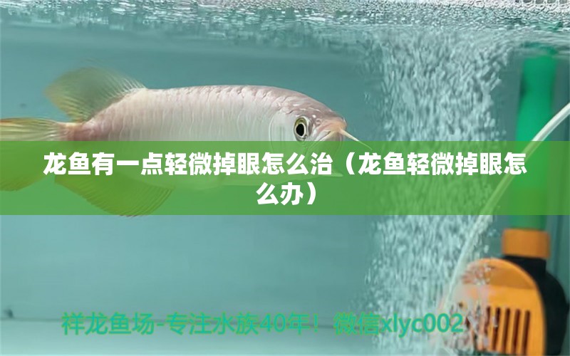 龍魚有一點輕微掉眼怎么治（龍魚輕微掉眼怎么辦）