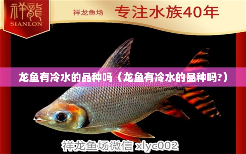 龍魚有冷水的品種嗎（龍魚有冷水的品種嗎?） 祥龍水族醫(yī)院