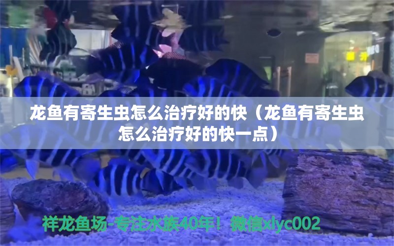 龍魚有寄生蟲怎么治療好的快（龍魚有寄生蟲怎么治療好的快一點(diǎn)） 龍魚疾病與治療