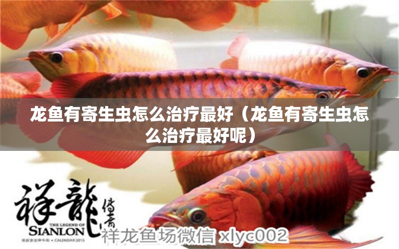 龍魚有寄生蟲怎么治療最好（龍魚有寄生蟲怎么治療最好呢） 廣州龍魚批發(fā)市場