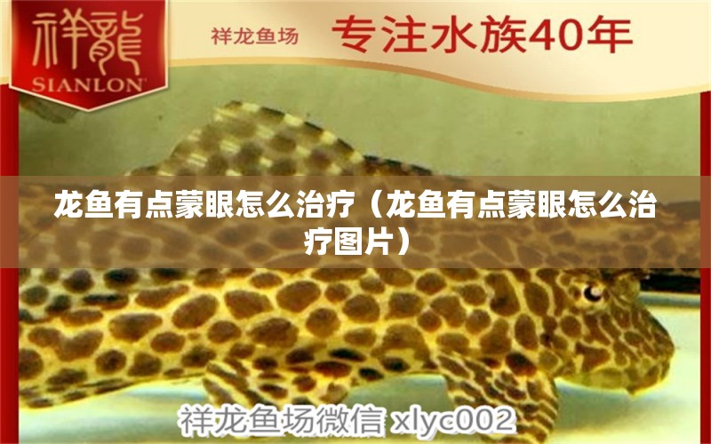 龍魚(yú)有點(diǎn)蒙眼怎么治療（龍魚(yú)有點(diǎn)蒙眼怎么治療圖片） 廣州龍魚(yú)批發(fā)市場(chǎng)