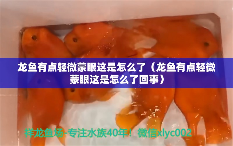 龍魚有點輕微蒙眼這是怎么了（龍魚有點輕微蒙眼這是怎么了回事）