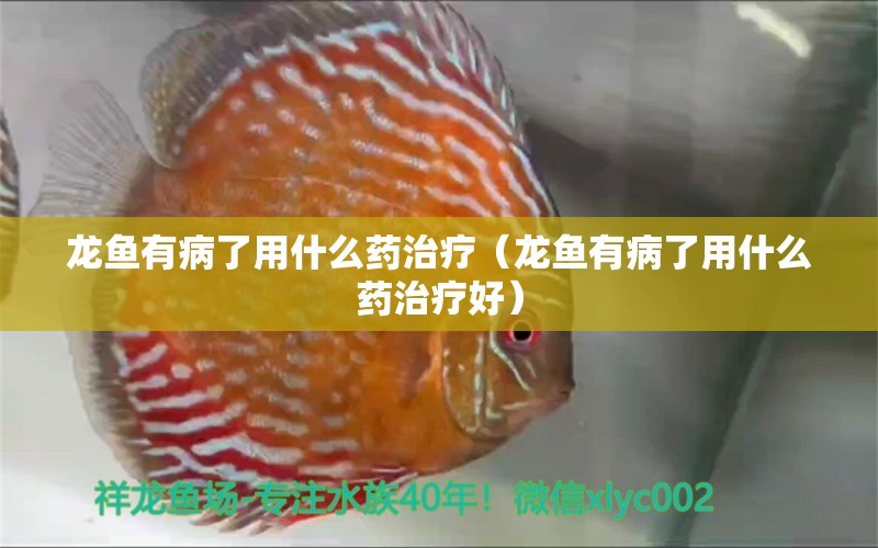 龍魚有病了用什么藥治療（龍魚有病了用什么藥治療好）