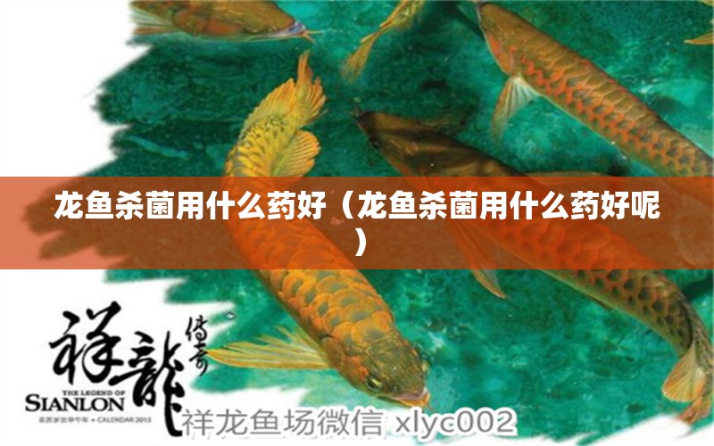 龍魚殺菌用什么藥好（龍魚殺菌用什么藥好呢）