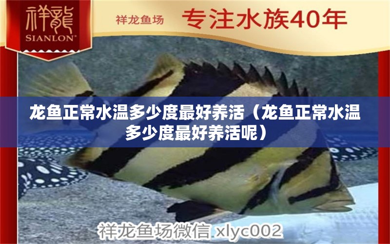 龍魚正常水溫多少度最好養(yǎng)活（龍魚正常水溫多少度最好養(yǎng)活呢） 廣州龍魚批發(fā)市場