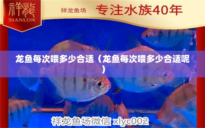 龍魚(yú)每次喂多少合適（龍魚(yú)每次喂多少合適呢） 廣州龍魚(yú)批發(fā)市場(chǎng)