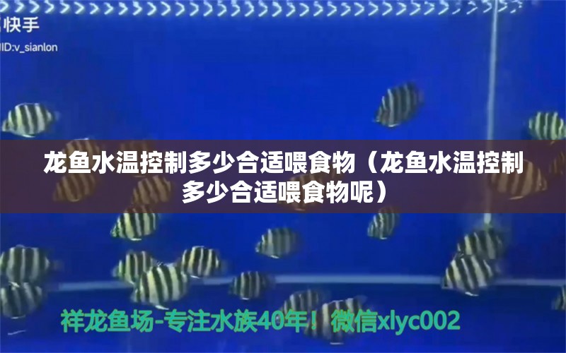 龍魚(yú)水溫控制多少合適喂食物（龍魚(yú)水溫控制多少合適喂食物呢） 廣州龍魚(yú)批發(fā)市場(chǎng)