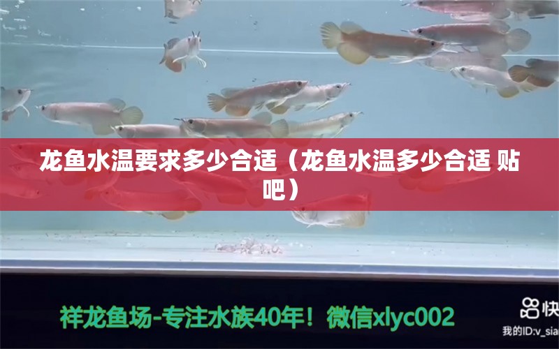 龍魚水溫要求多少合適（龍魚水溫多少合適 貼吧）