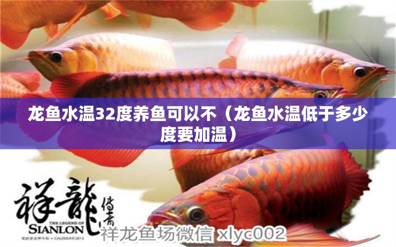 龍魚(yú)水溫32度養(yǎng)魚(yú)可以不（龍魚(yú)水溫低于多少度要加溫）