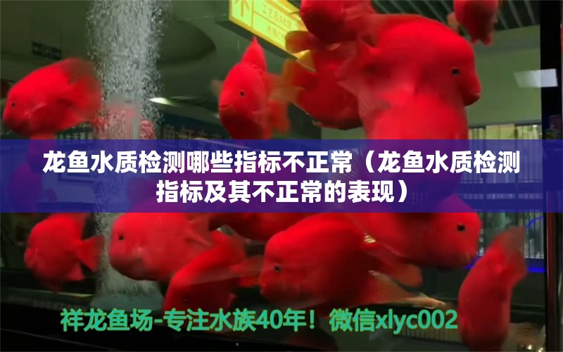 龍魚水質檢測哪些指標不正常（龍魚水質檢測指標及其不正常的表現(xiàn)） 水族問答 第1張