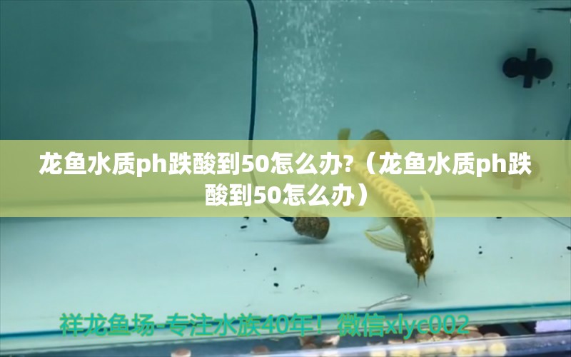 龍魚水質(zhì)ph跌酸到50怎么辦?（龍魚水質(zhì)ph跌酸到50怎么辦）