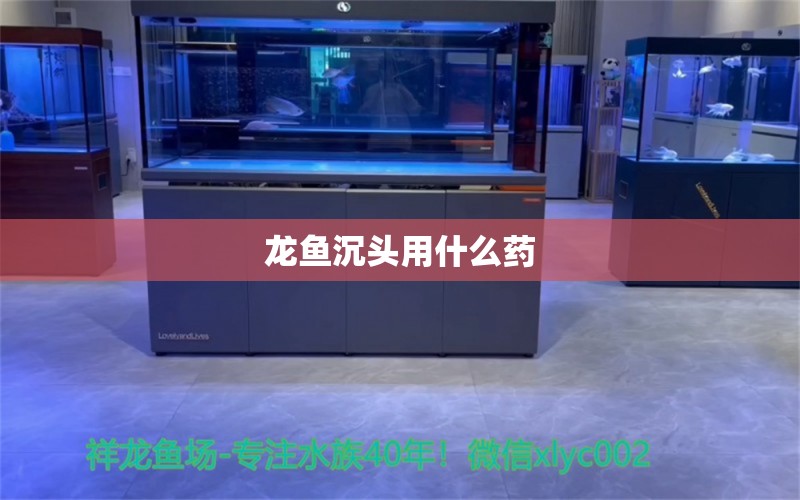 龍魚沉頭用什么藥 水族問答 第1張