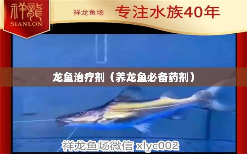 龍魚治療劑（養(yǎng)龍魚必備藥劑）