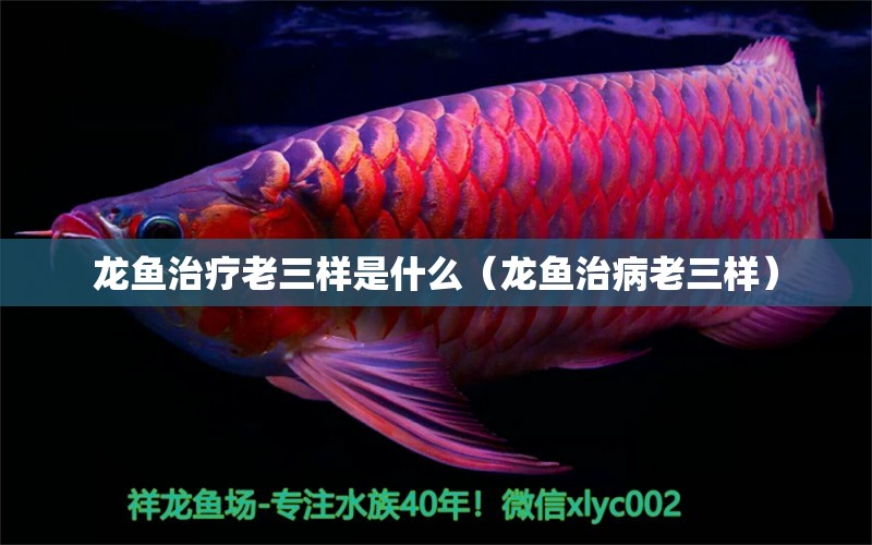 龍魚治療老三樣是什么（龍魚治病老三樣）