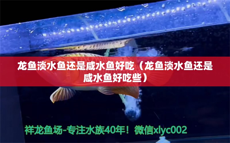 龍魚淡水魚還是咸水魚好吃（龍魚淡水魚還是咸水魚好吃些） 祥龍水族醫(yī)院